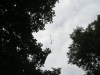 Arrow dangling