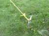 Typical taut-line hitch used to hold put tension on a wire antenna